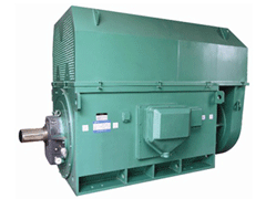 YJTFKK6305-6Y系列6KV高压电机